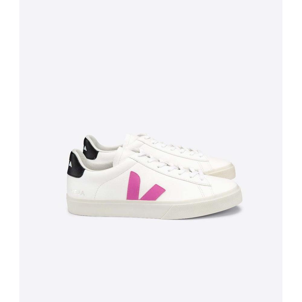 Veja CAMPO CHROMEFREE Women\'s Low Tops Sneakers White/Purple | CA 597FDN